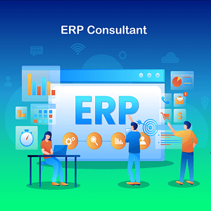 Read more about the article ERP Consultant
